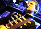 Colvex in concert